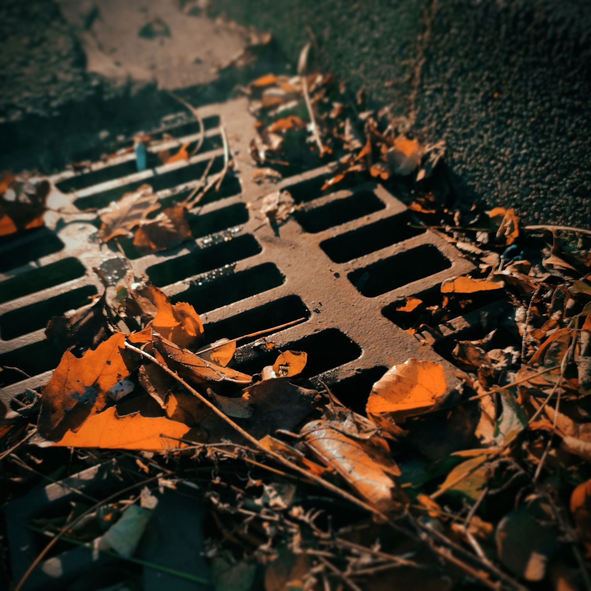 Close-up of dry autumn leaves on a rusty road drain in Essen, Germany.