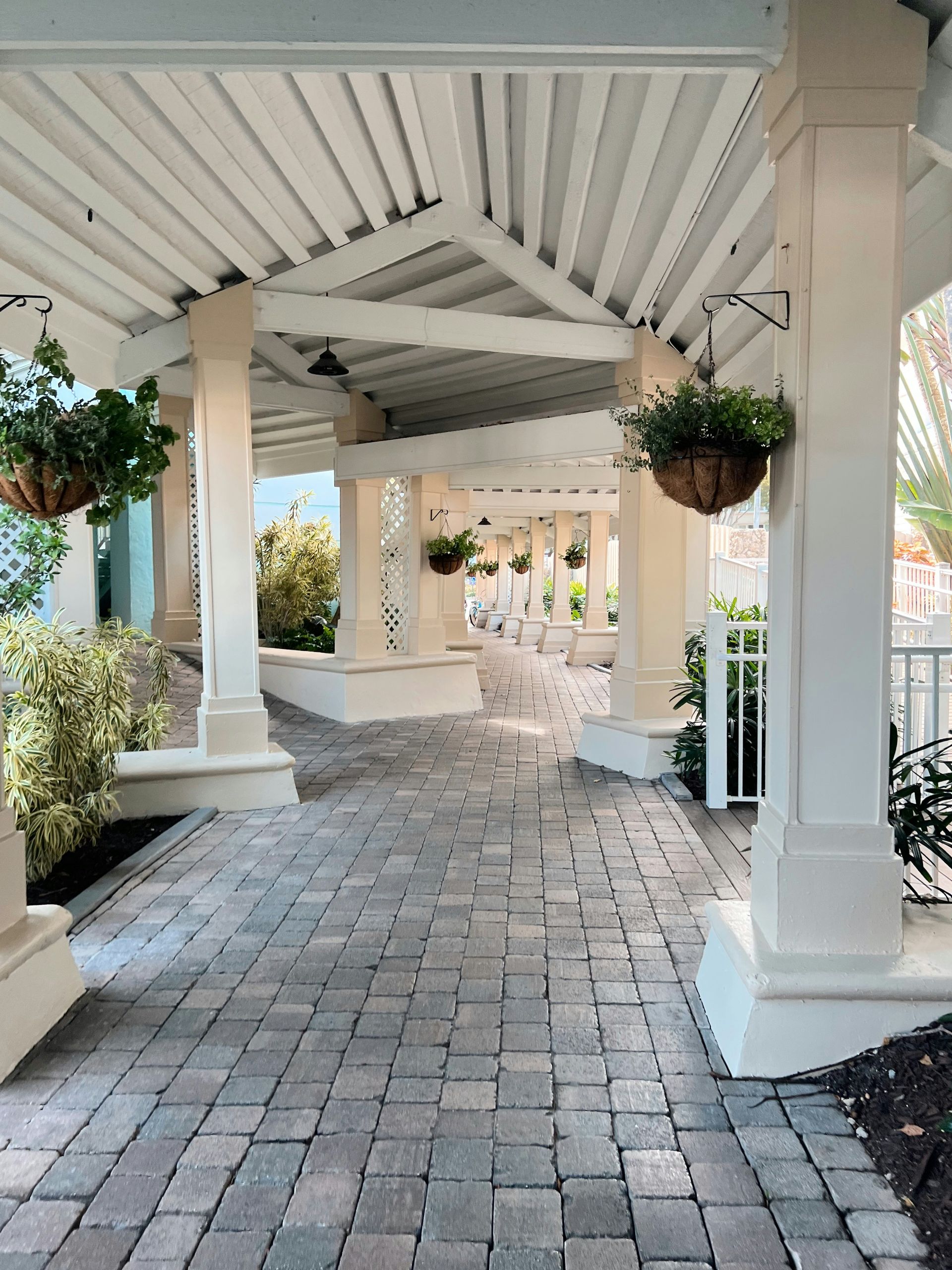 a walkway with white pillars and plants